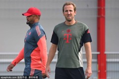 霍芬海姆足球俱乐部21人一览：德甲新赛季球星卡（25/26赛季）